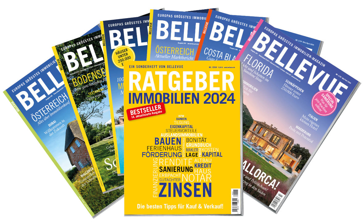 BELLEVUE Jahresabonnement (automatische Verlängerung)