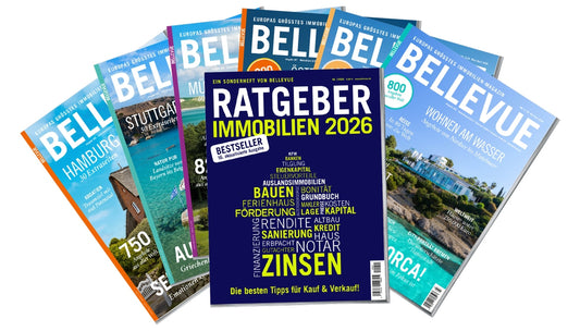 BELLEVUE Jahresabonnement (automatische Verlängerung)